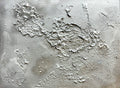 Chromatique 1